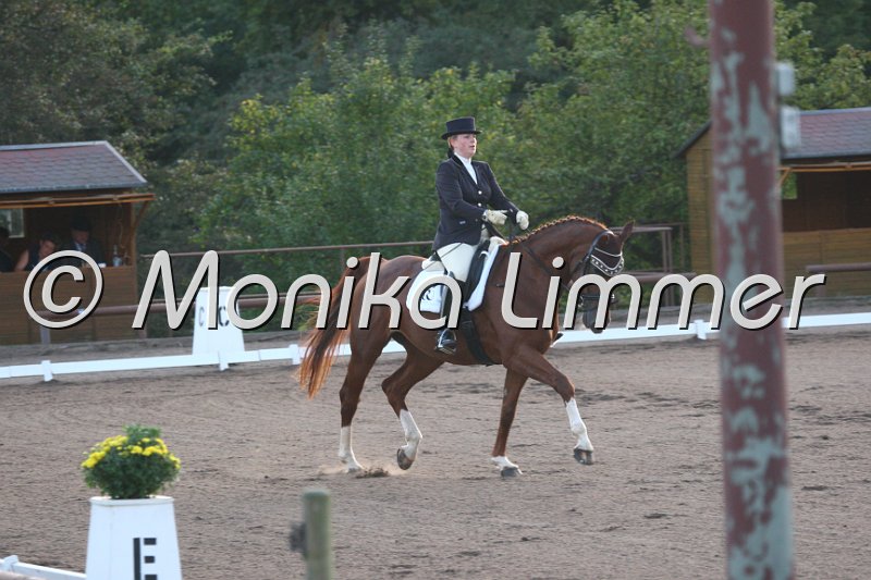 009M3493_Dolly Buster_Dressurpf_A.JPG